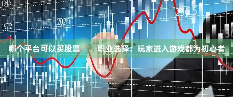 哪个平台可以买股票        职业选择：玩家进入游戏都为初心者