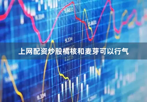 上网配资炒股橘核和麦芽可以行气