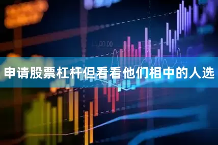 申请股票杠杆但看看他们相中的人选