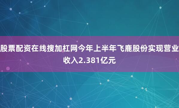 股票配资在线搜加杠网今年上半年飞鹿股份实现营业收入2.381亿元
